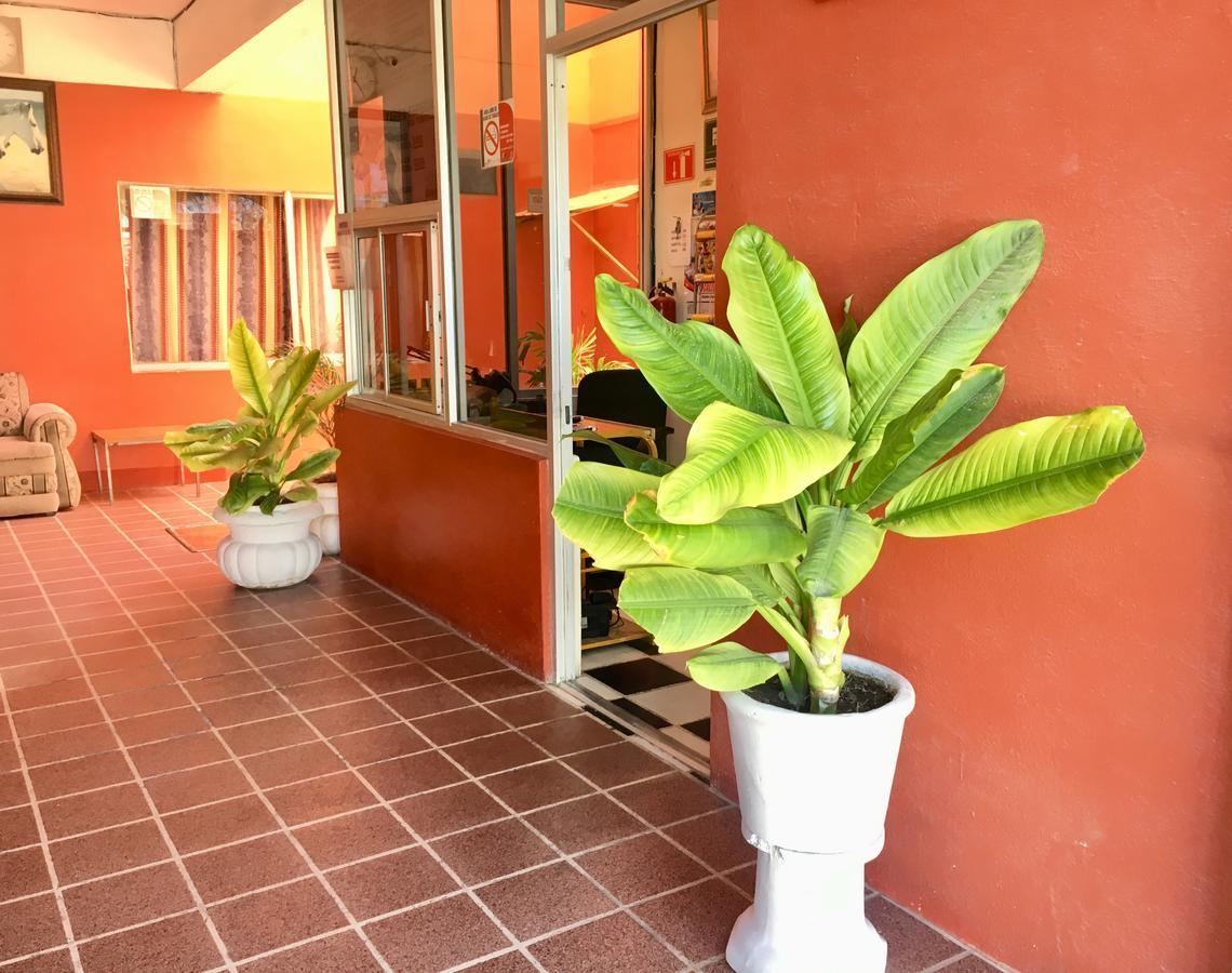 Hotel Bahia De La Paz Zewnętrze zdjęcie